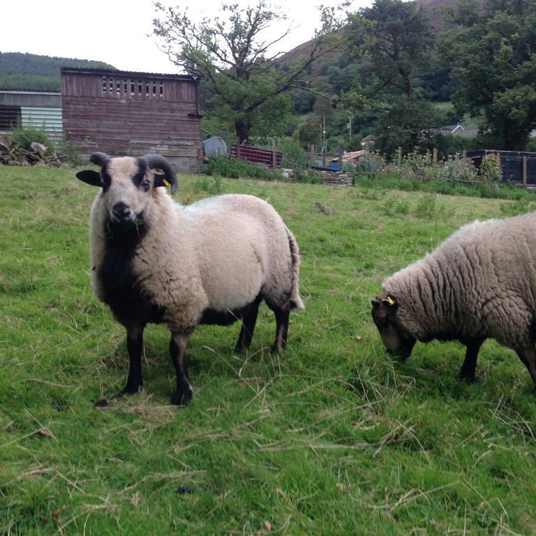 Parco vacanze Penybryn Aberdare